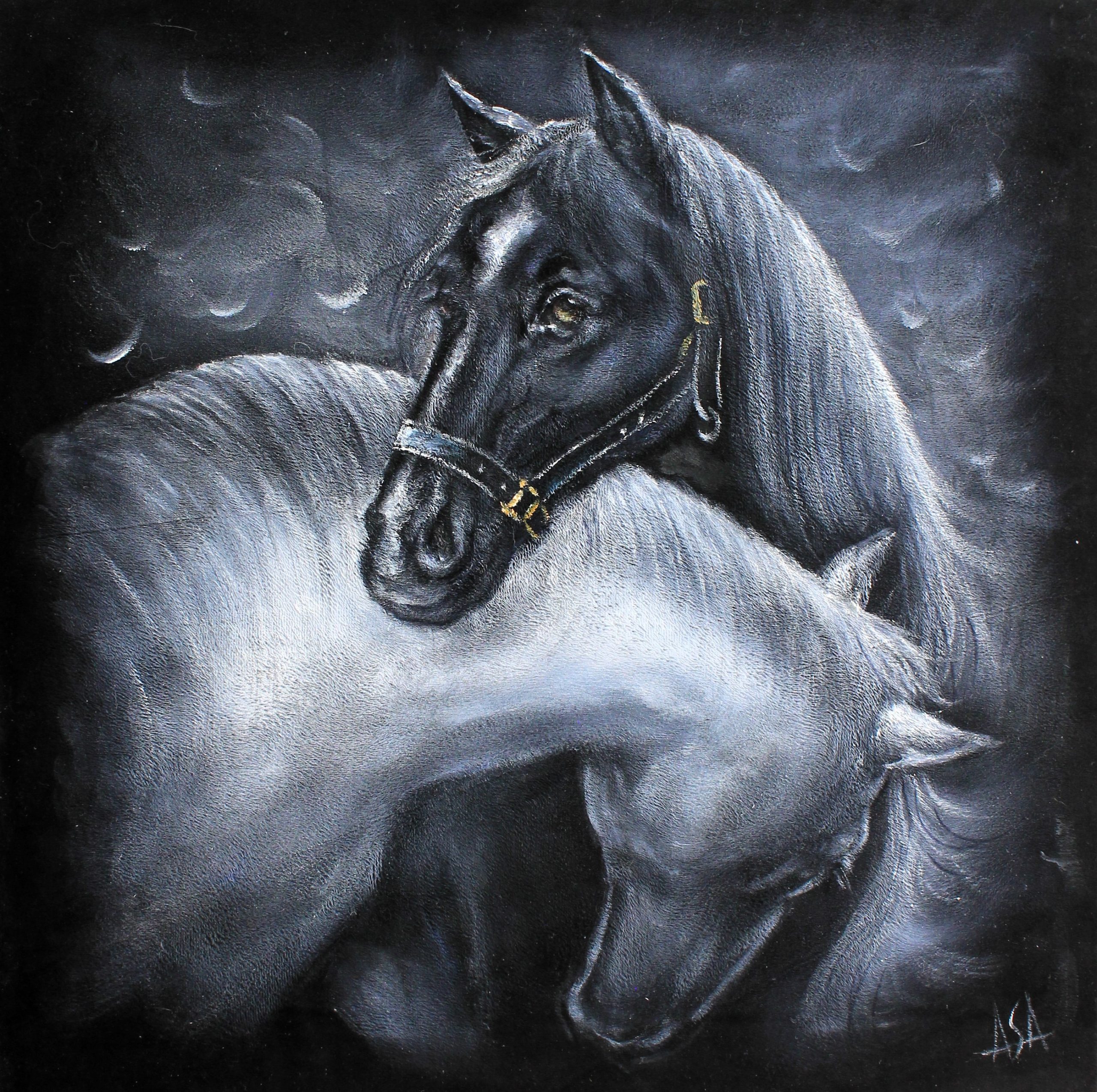 ПАРА ЛОШАДЕЙ